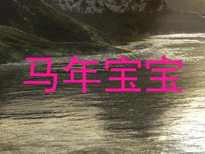 马年宝宝