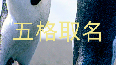 五格取名