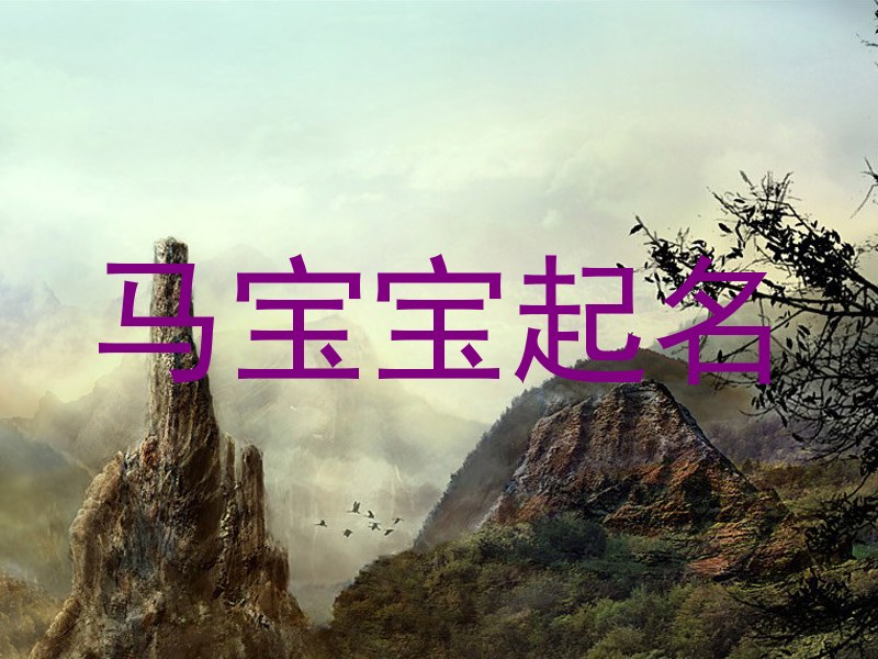 马宝宝起名