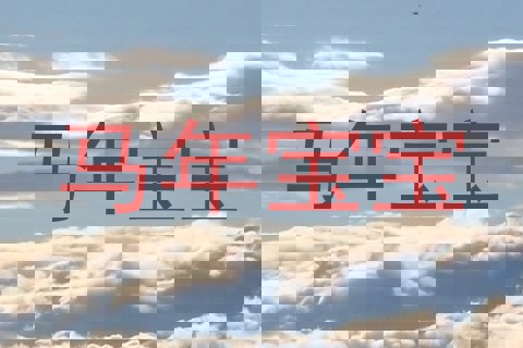 马年宝宝