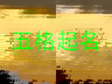 五格起名