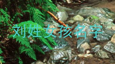 刘姓女孩名字