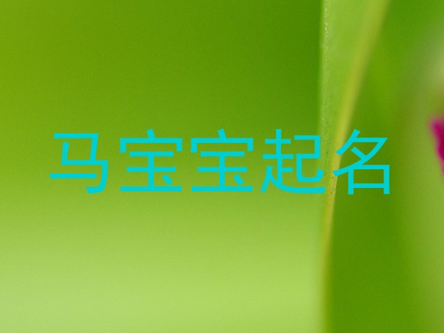 马宝宝起名
