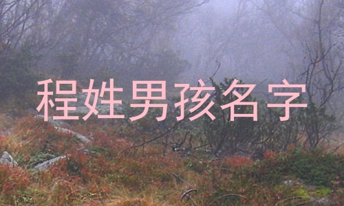 程姓男孩名字