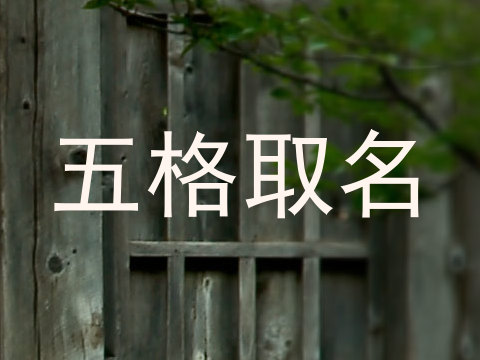五格取名