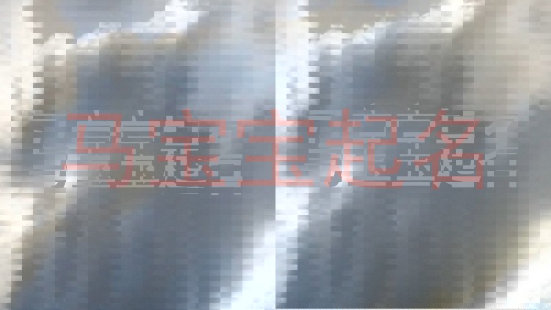 马宝宝起名