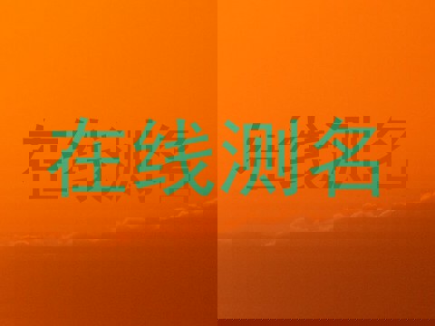 在线测名