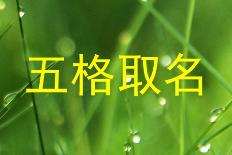 五格取名