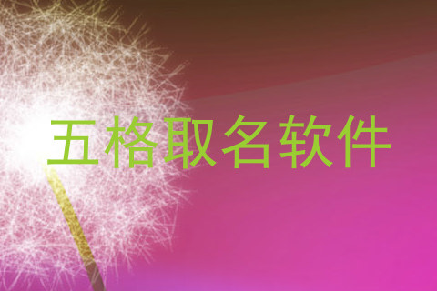五格取名软件