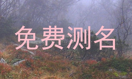 免费测名