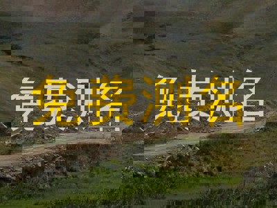 免费测名
