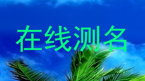 在线测名