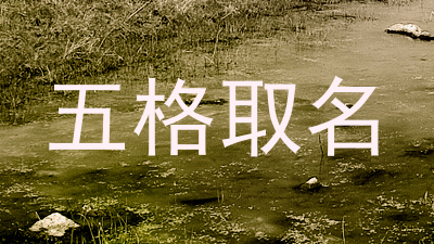 五格取名