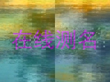 在线测名