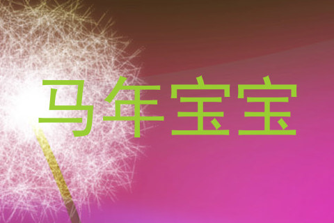 马年宝宝