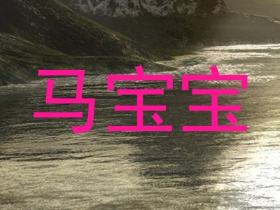 马宝宝
