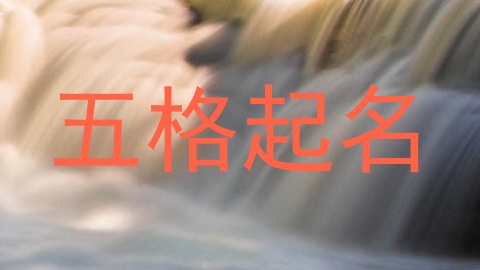 五格起名