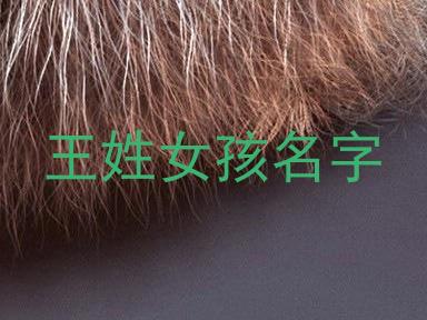 王姓女孩名字