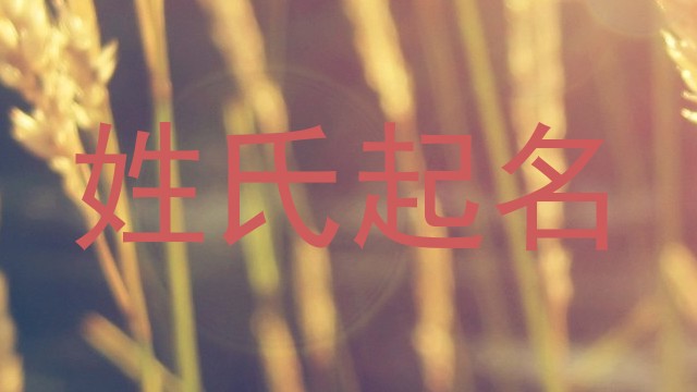 姓氏起名