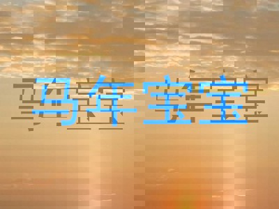 马年宝宝