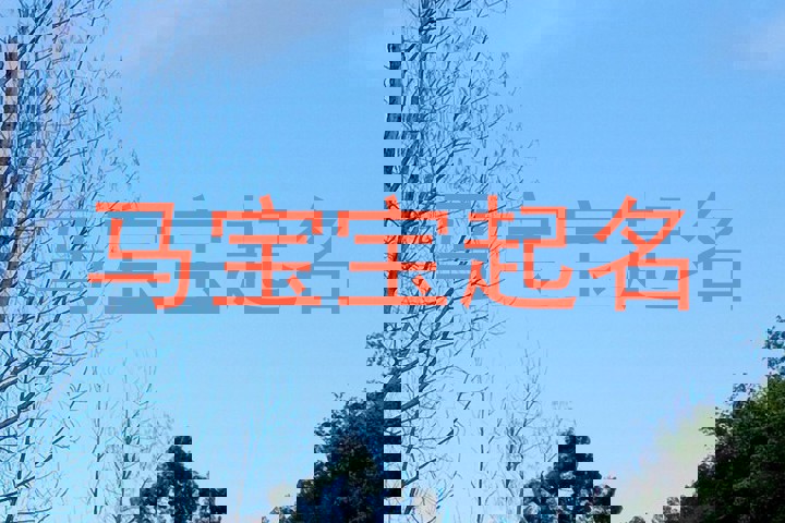 马宝宝起名