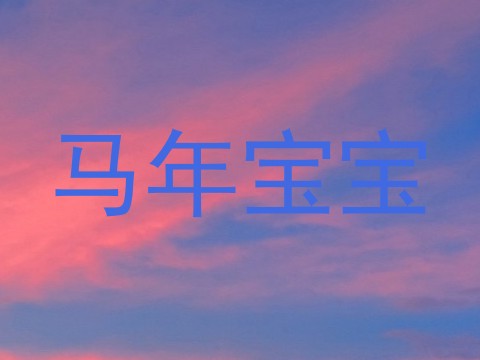马年宝宝