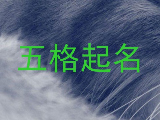 五格起名