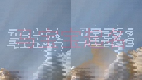 马宝宝起名