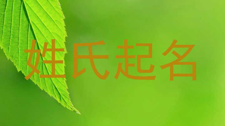 姓氏起名