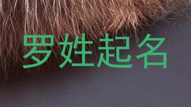 罗姓起名