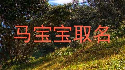 马宝宝取名