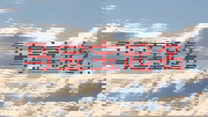 马宝宝起名