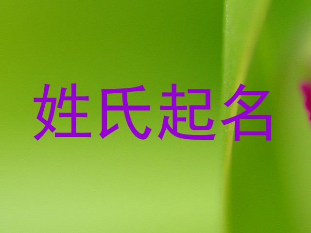 姓氏起名