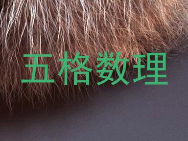 五格数理
