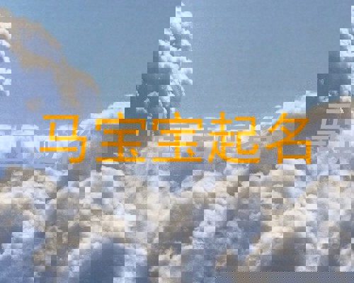 马宝宝起名