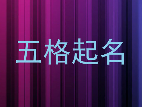 五格起名