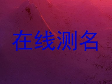 在线测名