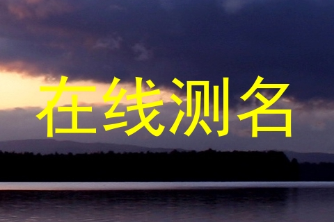 在线测名