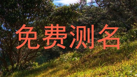 免费测名