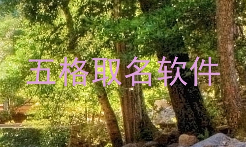 五格取名软件