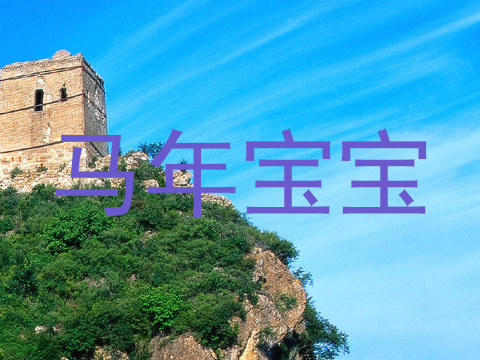 马年宝宝