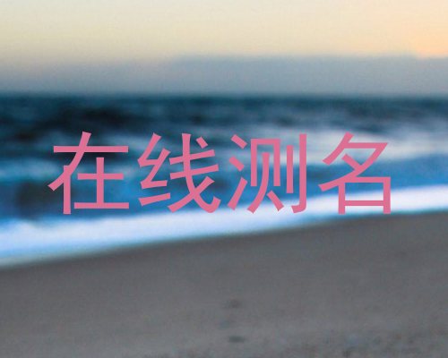 在线测名
