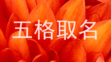 五格取名