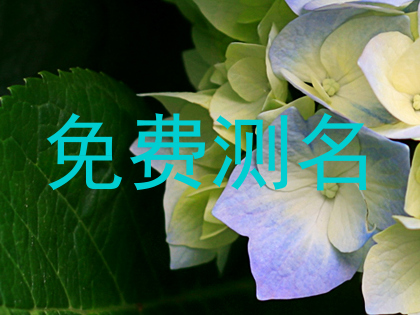 免费测名