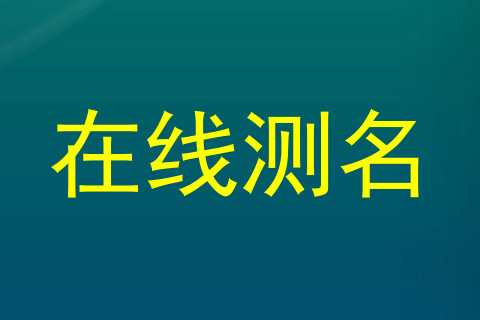 在线测名