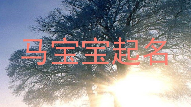 马宝宝起名