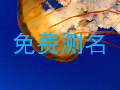 免费测名