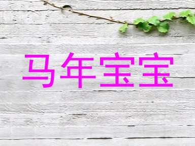 马年宝宝