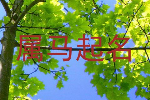 属马起名