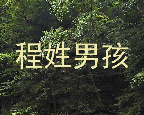 程姓男孩
